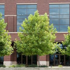 Boise State University - Alumni and Friends Center